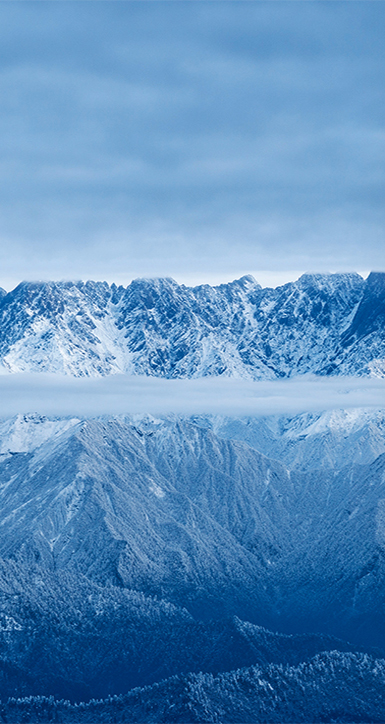 关于银娱优越会7176111